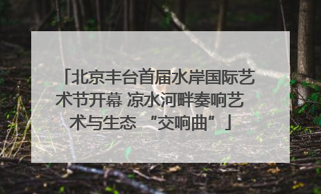北京丰台首届水岸国际艺术节开幕 凉水河畔奏响艺术与生态 “交响曲”