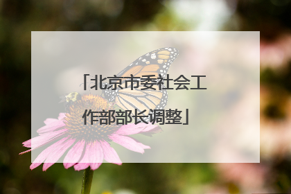 北京市委社会工作部部长调整