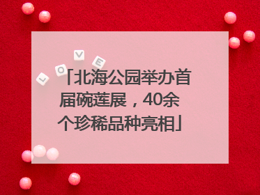 北海公园举办首届碗莲展，40余个珍稀品种亮相