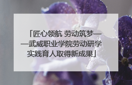 匠心领航 劳动筑梦——武威职业学院劳动研学实践育人取得新成果