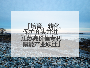 培育、转化、保护齐头并进 江苏高价值专利赋能产业跃迁