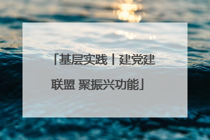 基层实践丨建党建联盟 聚振兴功能