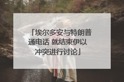 埃尔多安与特朗普通电话 就结束伊以冲突进行讨论