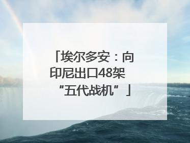 埃尔多安：向印尼出口48架“五代战机”