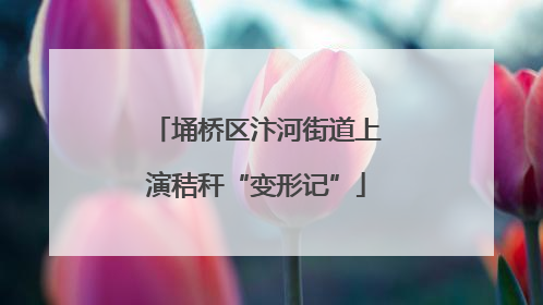 埇桥区汴河街道上演秸秆“变形记”