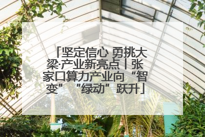 坚定信心 勇挑大梁·产业新亮点丨张家口算力产业向“智变”“绿动”跃升