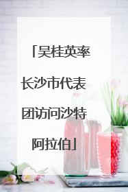 吴桂英率长沙市代表团访问沙特阿拉伯