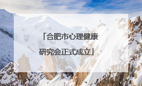 合肥市心理健康研究会正式成立