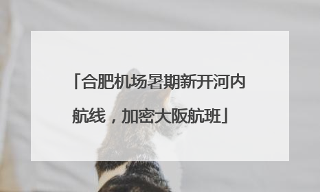 合肥机场暑期新开河内航线，加密大阪航班