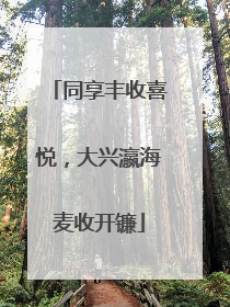 同享丰收喜悦，大兴瀛海麦收开镰