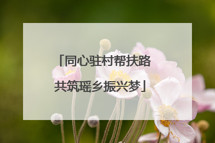 同心驻村帮扶路 共筑瑶乡振兴梦