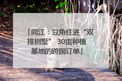 同江：豆角住进“双排别墅” 30亩种植基地的跨国订单