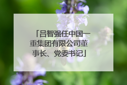 吕智强任中国一重集团有限公司董事长、党委书记