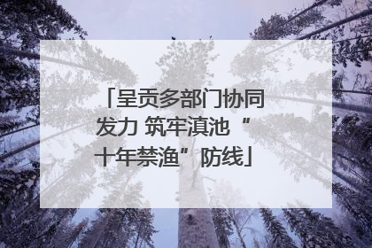 呈贡多部门协同发力 筑牢滇池“十年禁渔”防线