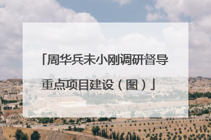周华兵未小刚调研督导重点项目建设（图）