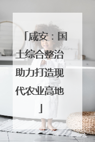 咸安：国土综合整治助力打造现代农业高地