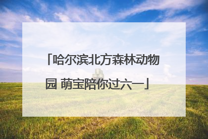 哈尔滨北方森林动物园 萌宝陪你过六一