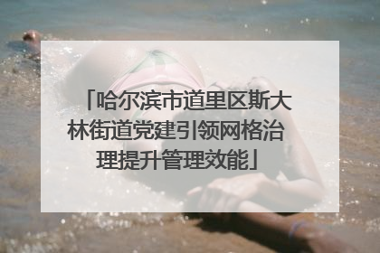 哈尔滨市道里区斯大林街道党建引领网格治理提升管理效能