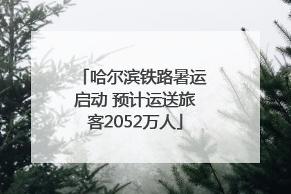 哈尔滨铁路暑运启动 预计运送旅客2052万人