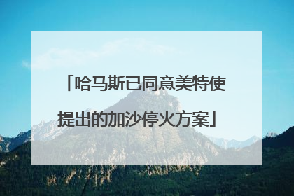 哈马斯已同意美特使提出的加沙停火方案