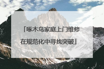 啄木鸟家庭上门维修在规范化中寻找突破