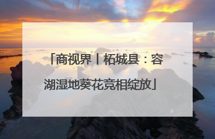 商视界丨柘城县：容湖湿地葵花竞相绽放