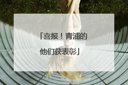 喜报！青浦的他们获表彰