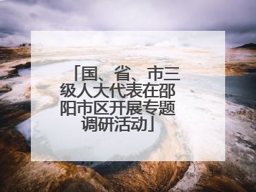 国、省、市三级人大代表在邵阳市区开展专题调研活动