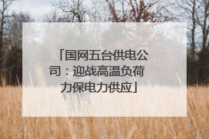 国网五台供电公司：迎战高温负荷 力保电力供应