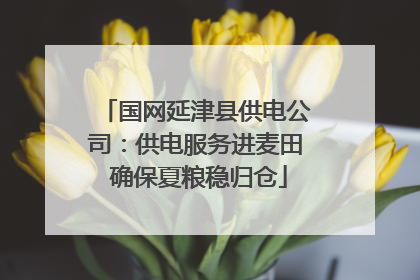 国网延津县供电公司：供电服务进麦田 确保夏粮稳归仓