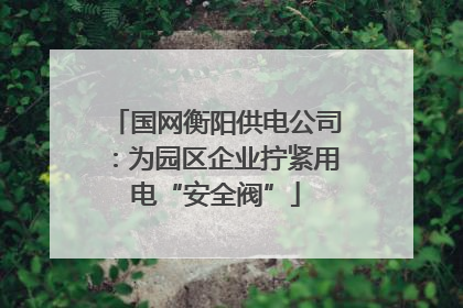 国网衡阳供电公司：为园区企业拧紧用电“安全阀”