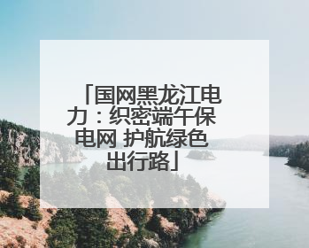 国网黑龙江电力：织密端午保电网 护航绿色出行路