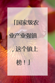 国家级农业产业强镇，这个镇上榜！