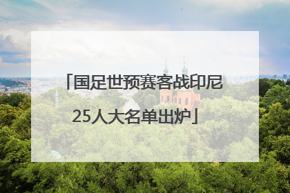 国足世预赛客战印尼25人大名单出炉
