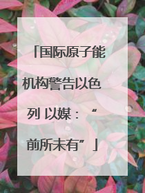 国际原子能机构警告以色列 以媒:“前所未有”