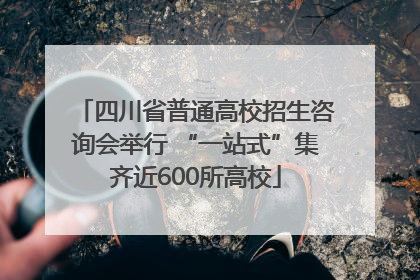 四川省普通高校招生咨询会举行 “一站式”集齐近600所高校