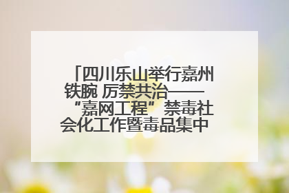 四川乐山举行嘉州铁腕 厉禁共治——“嘉网工程”禁毒社会化工作暨毒品集中销毁启动仪式