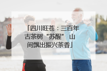 四川旺苍：三百年古茶树“苏醒” 山间飘出振兴茶香
