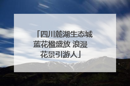 四川麓湖生态城蓝花楹盛放 浪漫花景引游人