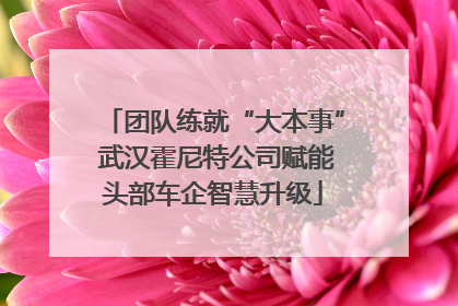 团队练就“大本事” 武汉霍尼特公司赋能头部车企智慧升级
