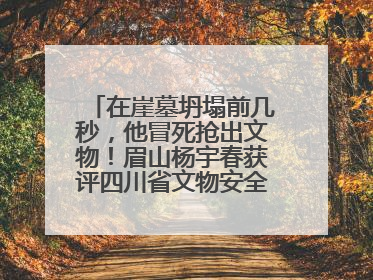 在崖墓坍塌前几秒，他冒死抢出文物！眉山杨宇春获评四川省文物安全守护者