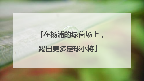 在杨浦的绿茵场上，踢出更多足球小将