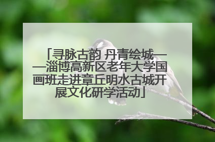 寻脉古韵 丹青绘城——淄博高新区老年大学国画班走进章丘明水古城开展文化研学活动