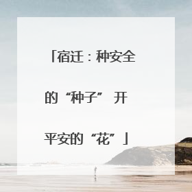 宿迁：种安全的“种子” 开平安的“花”