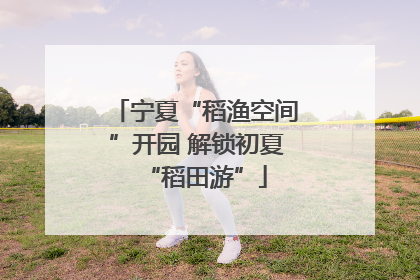 宁夏“稻渔空间”开园 解锁初夏“稻田游”