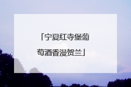 宁夏红寺堡葡萄酒香漫贺兰