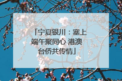 宁夏银川：塞上端午聚同心 港澳台侨共传情