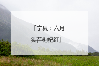 宁夏：六月头茬枸杞红