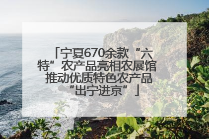 宁夏670余款“六特”农产品亮相农展馆 推动优质特色农产品“出宁进京”