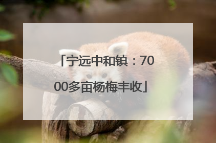 宁远中和镇：7000多亩杨梅丰收
